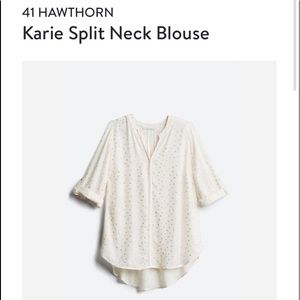 COPY - 41 Hawthorn blouse size 2x